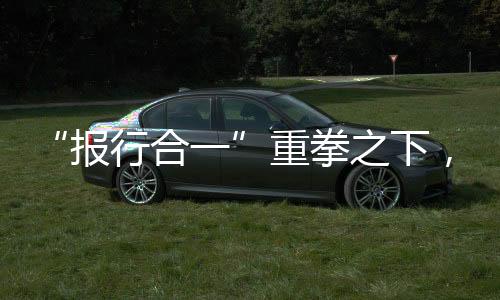 报行合一不同的重拳之下是