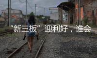 “新三板”迎利好，谁会是涂料领域蹦出的下一匹“黑马”?