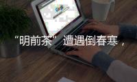 快排公司十年历程，霸屏兔 seo 的崛起与坚守