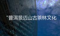 “普洱景迈山古茶林文化景观”，申遗成功