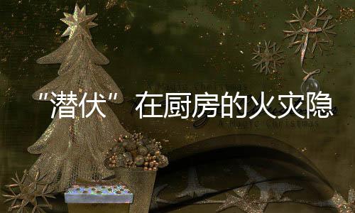 厨房用干粉灭火器扑救