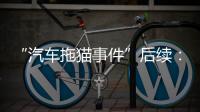 “汽车拖猫事件”后续
：三人造谣网暴被行拘