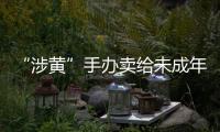 “涉黄”手办卖给未成年人
：应对玩具分级管理丨快评