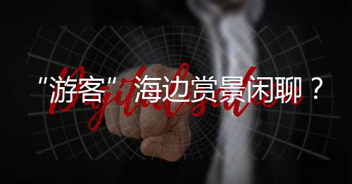 游客海边与周边居民攀谈