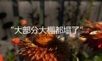 “大部分大棚都塌了”，湖北农业冻雨后迎大考