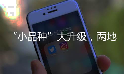 青蟹等特色产品需求旺盛