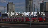“小胖墩”如何减肥
？科学减重看这里