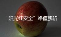 快排公司十年历程，霸屏兔 seo 的崛起与坚守
