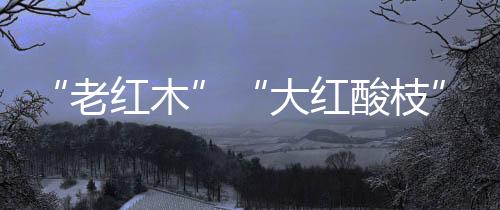 大红大红木材呈深红色