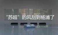 “苏超”的风刮到杨浦了！这场足球赛新星闪耀