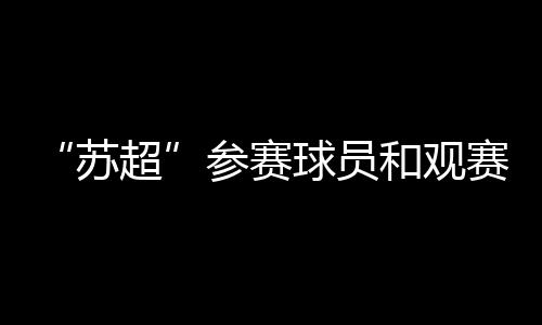 在“苏超”京东官方旗舰店