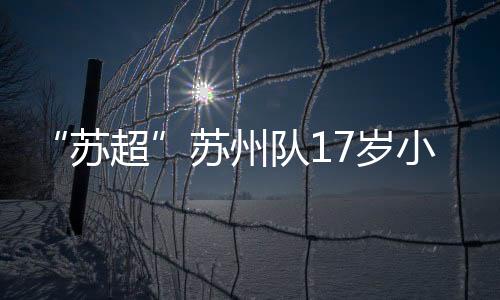“苏超”苏州队对阵扬州队