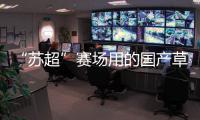 “苏超”赛场用的国产草，到底有多能打？