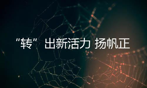 转多元化市场格局不断拓展