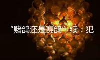 “赌鸽还是赛鸽”续：犯罪事实不清，不起诉组织者