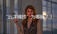 “远洋捕捞”为哪般
？丨法眼