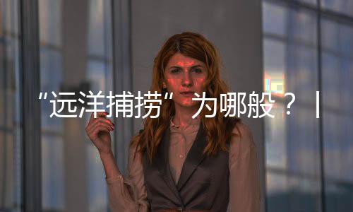 它披着合法的为般外衣