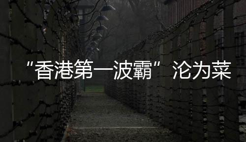 香港唏嘘因为他们从未领证