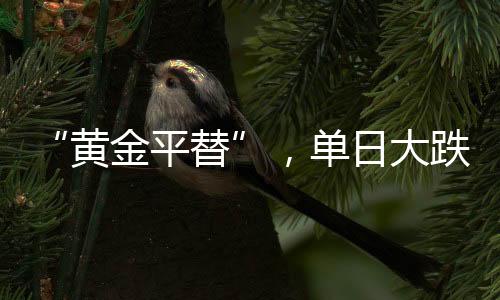 黄金平替进入2026年预测区间