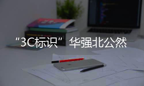 华强北正在售卖C标识充电宝