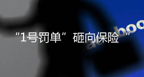 2024年一号罚单落在众安保险
