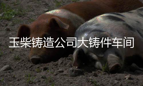 公司引领行业技术潮流