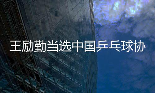 选举王励勤为新任主席
