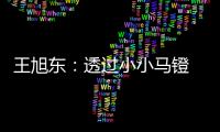 王旭东：透过小小马镫 可知文明不同