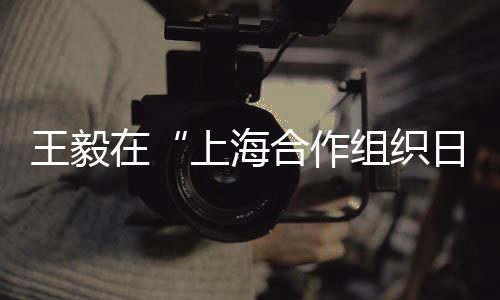 对话伙伴驻华使节等出席