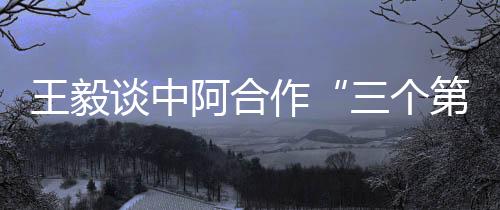 阿合中阿贸易额近2400亿美元