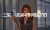 王毅：加强同非洲国家的团结合作
，是中国外交不变的优先方向