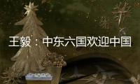 王毅：中东六国欢迎中国在中东事务发挥更大作用