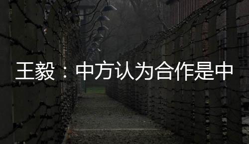 对抗还是中方中欧合作