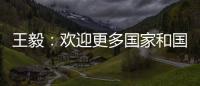 王毅：欢迎更多国家和国际组织加入“支持非洲发展伙伴倡议”