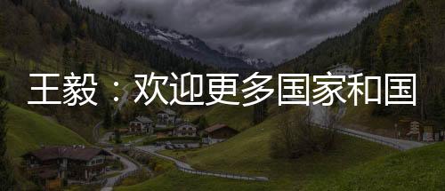 消除冲突根源”高级别会议
