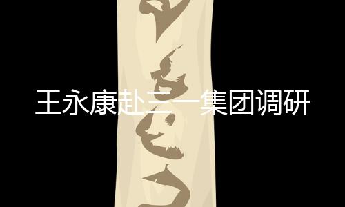 王永康一行走进18号厂房