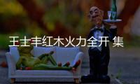 王士丰红木火力全开 集多方资源于一体