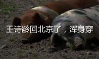 王诗龄回北京了，浑身穿搭超10万，又胖了却很自信，王岳伦接机