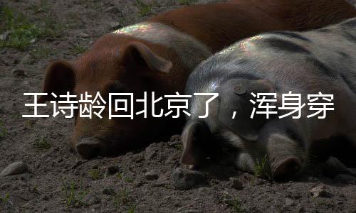 还如此等待的王诗人