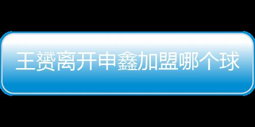 申鑫王赟共出场26次
