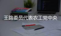 王路委员代表农工党中央发言：奋力推动如期实现碳达峰碳中和目标