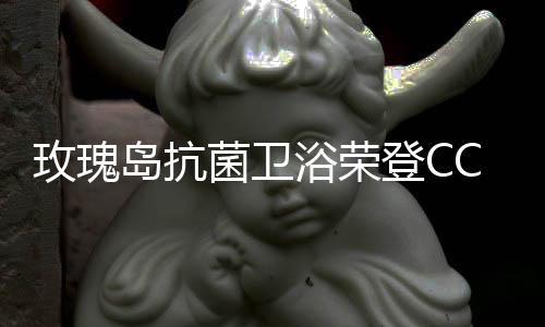玫瑰洁净的岛抗登卫浴空间