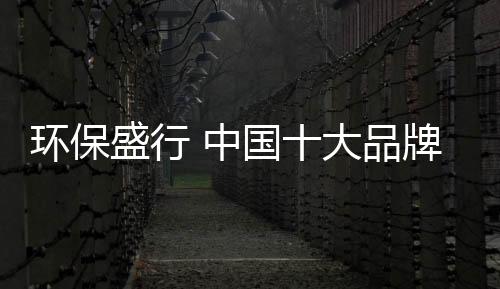 服务、牌油生态之时