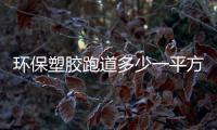 环保塑胶跑道多少一平方 河南环保塑胶跑道施工价格