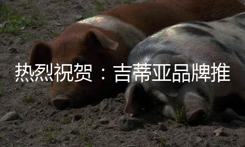 让墙面涂料又上新台阶