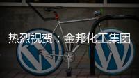 热烈祝贺：金邦化工集团荣登《环球人物》专访