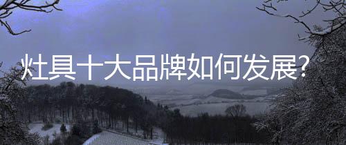 然而面对行业危机挑战时