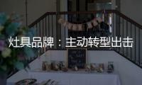 灶具品牌：主动转型出击 开发空白市场