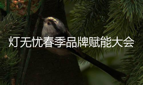 为了更好地传播灯无忧