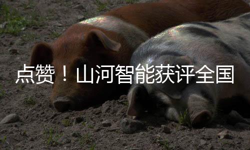 点赞绿色化、山河实践近日